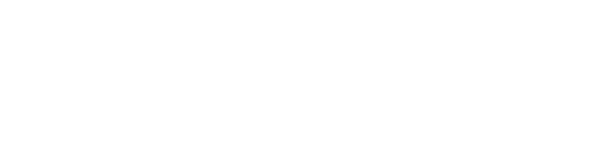 DigiRev
